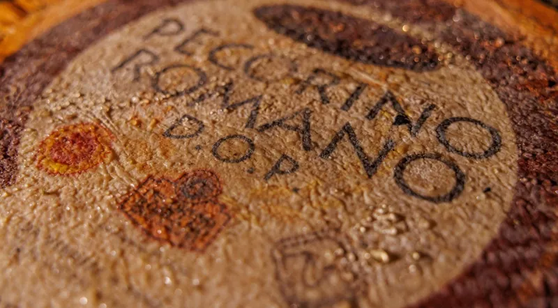 The stamped rind of a Pecorino Romano DOP cheese wheel